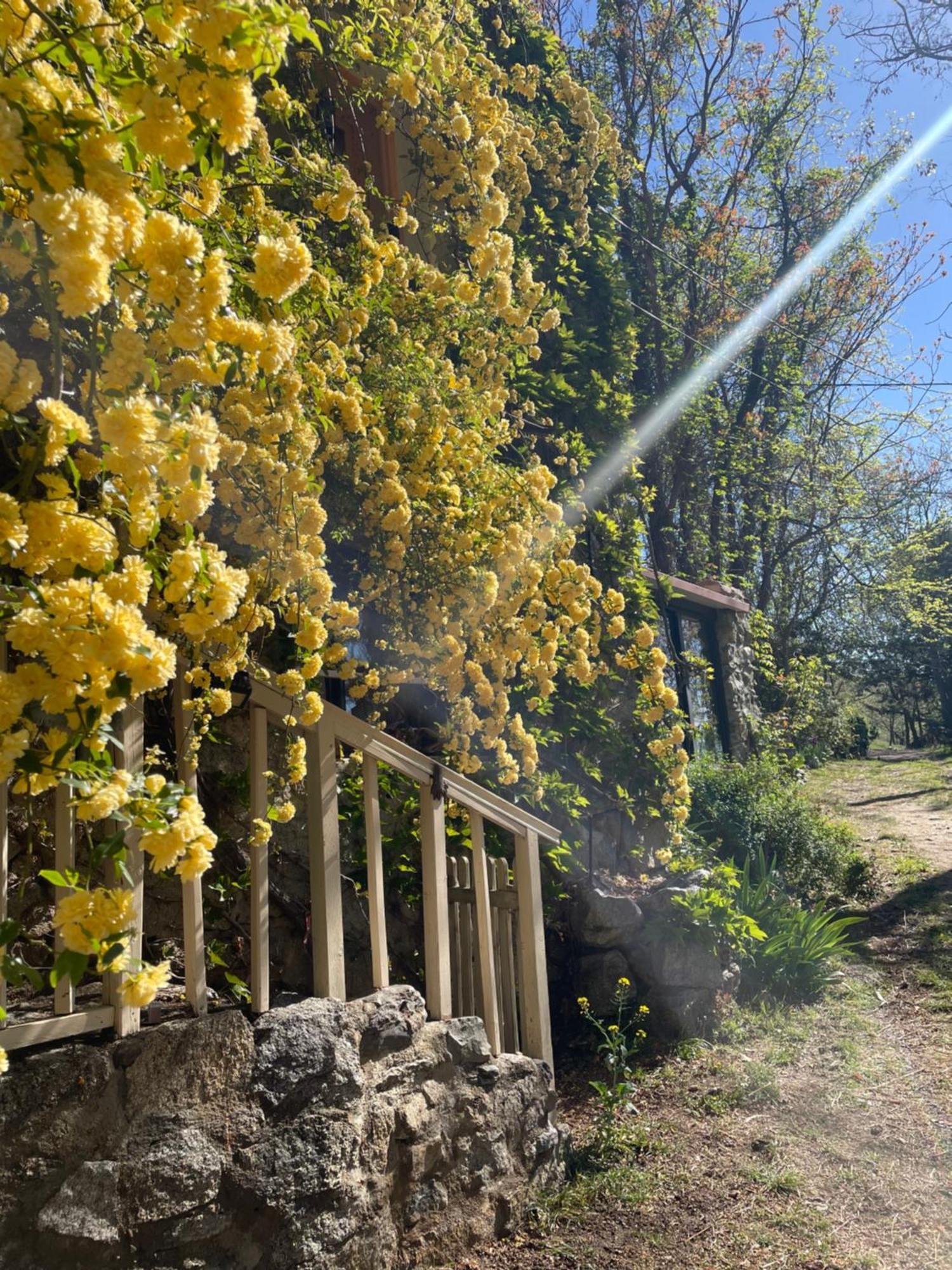 Domaine St Georges Villa Mosset Exteriör bild